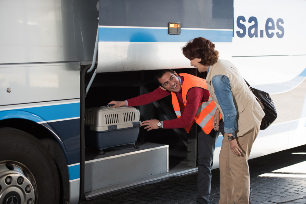 Siete millones de viajeros utilizaran el autobus esta navidad