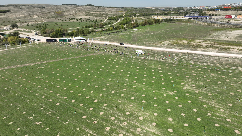 El bosque scania crecera con mas de 4500 arboles en 2024