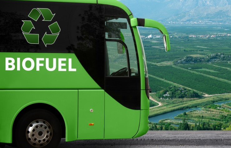 La cnmc recomienda revisar la normativa de biocarburantes