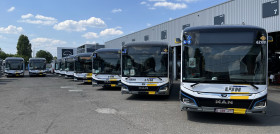 Hansea encarga 181 autobuses electricos a man