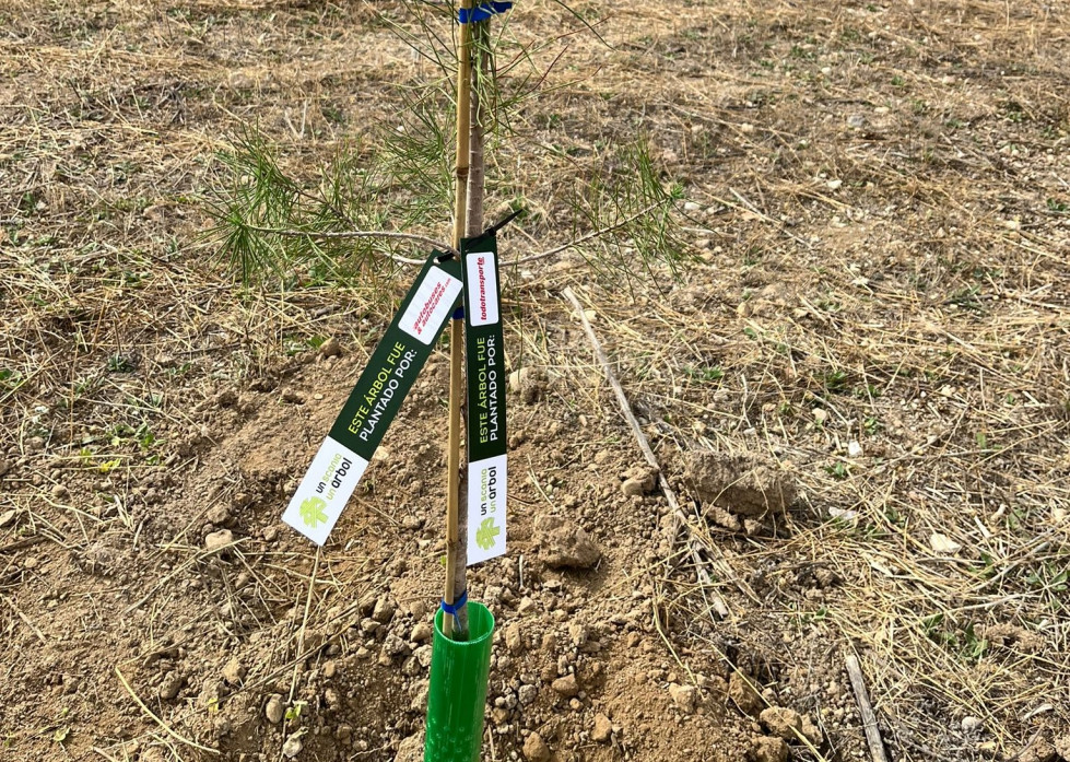 Scania celebra la undecima edicion de la plantacion de arboles en su bosque