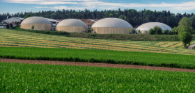 Nace appa biogas para impulsar los gases renovables