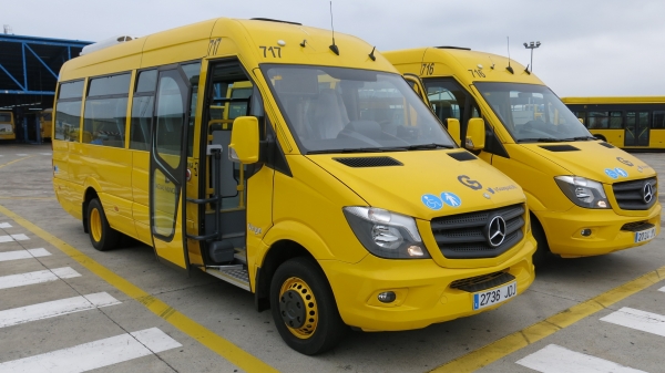 Los microbuses recién adaptados.